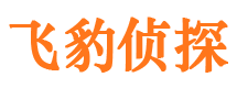 南宁外遇出轨调查取证